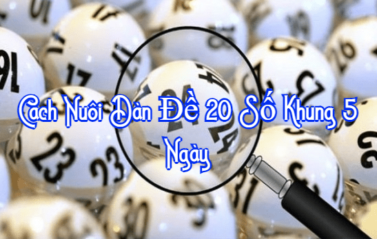 cach-nuoi-dan-de-20-so-khung-5-ngay