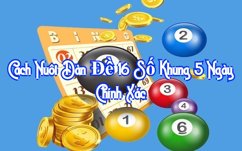 cach-nuoi-dan-de-16-so-khung-5-ngay-chinh-xac