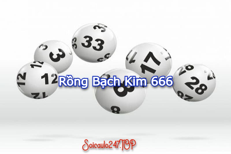 Rồng Bạch Kim 666