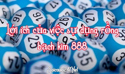 Lới ích của việc sự dụng rồng bạch kim 888