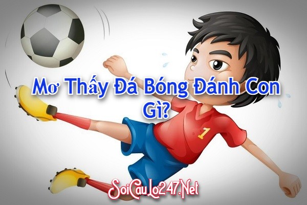 Mơ Thấy Đá Bóng Đánh Con Gì?