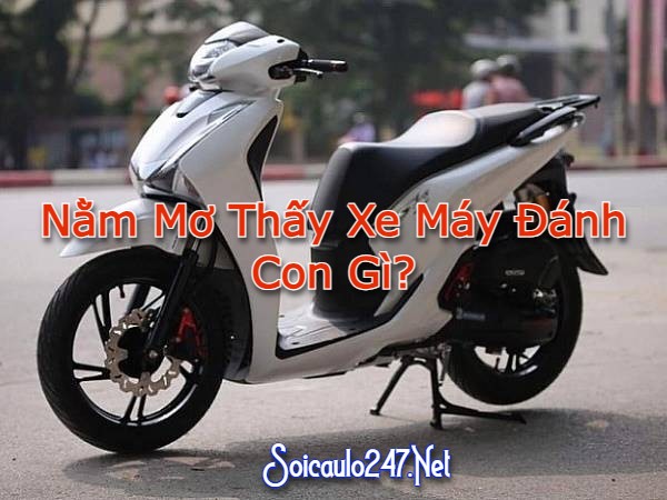 Nằm mơ thấy xe máy đánh con gì?